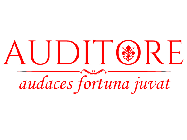 AuditoreShop