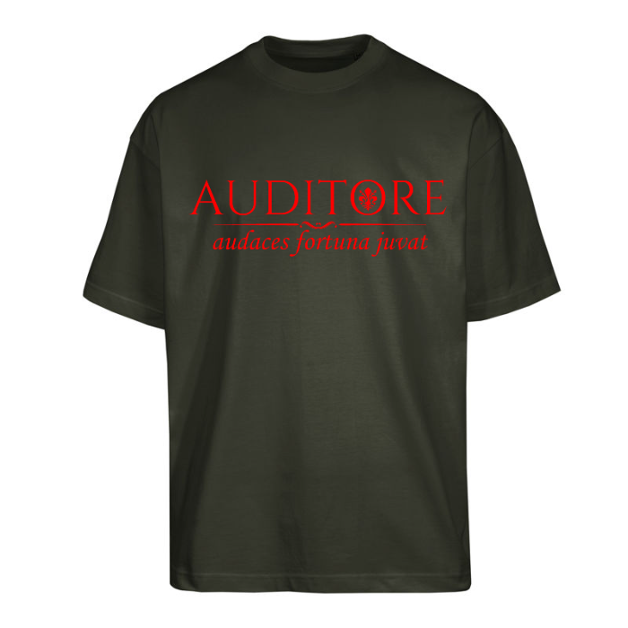 Auditore #002