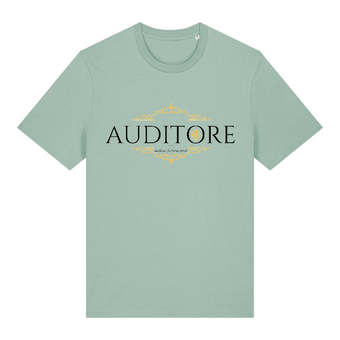 Auditore Premium #001